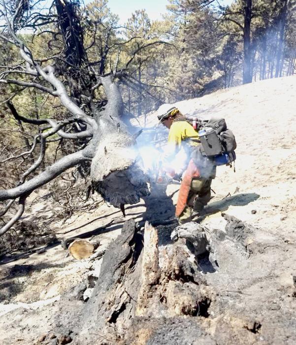 Quite a bit of chainsaw work was required with these fires at McKelvie National Forest that began Thursday, August 4, 2022, due to lightning. A total of 1,277 acres burned in the forest.