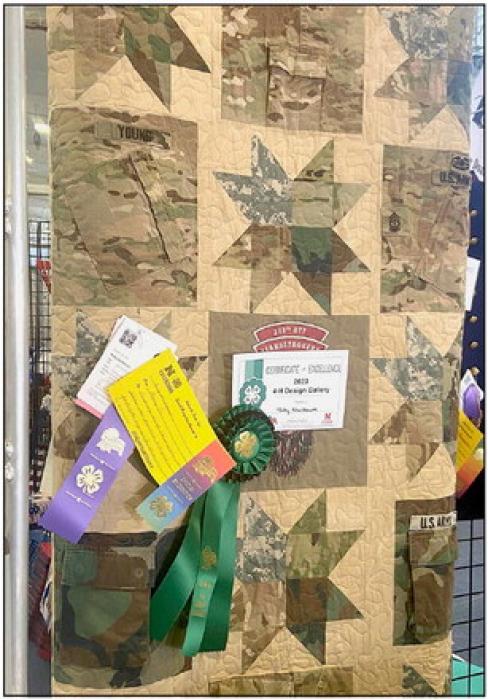 State Fair Quilts of Valor Design Gallery Ruby Shelbourn.