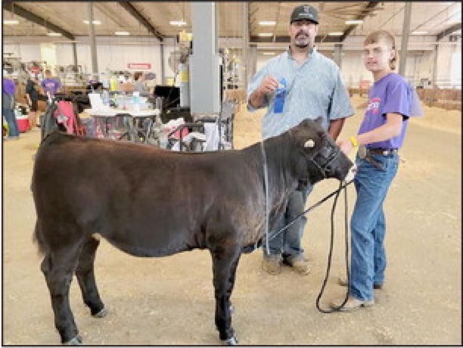 Greyson Hollopeter Swan received Blue ribbons for his Feeder Heifer Calf, Feeder Steer Calf and Intermediate Beef Showmanship.