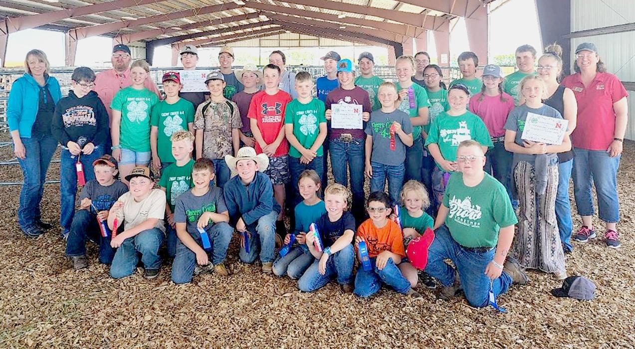 Area youth were able to participate in the 4-H Livestock Judging contest.
