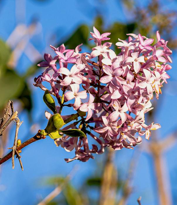 First frost?